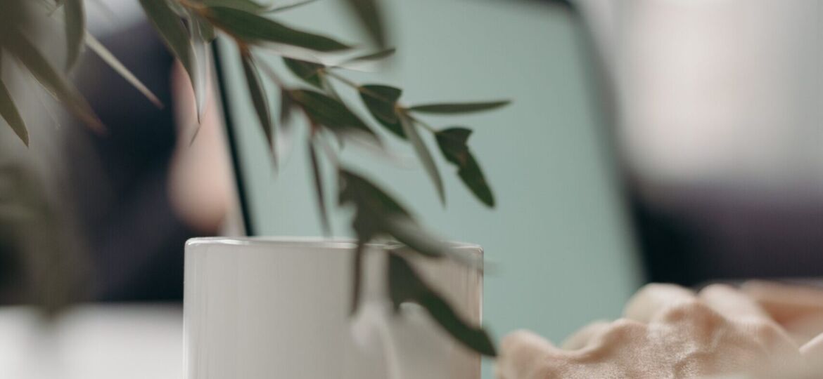 pexels-cottonbro-4065895